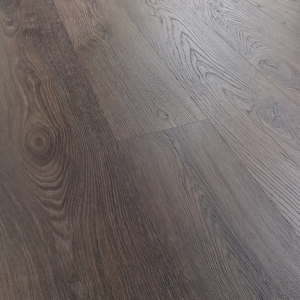 Alternative view of D4497