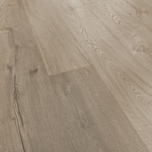 Alternative view of D4498